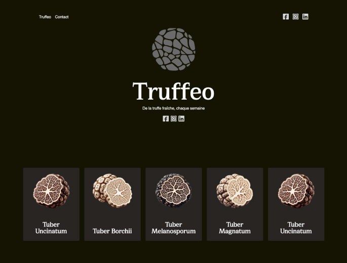 Page d'accueil du site truffeo